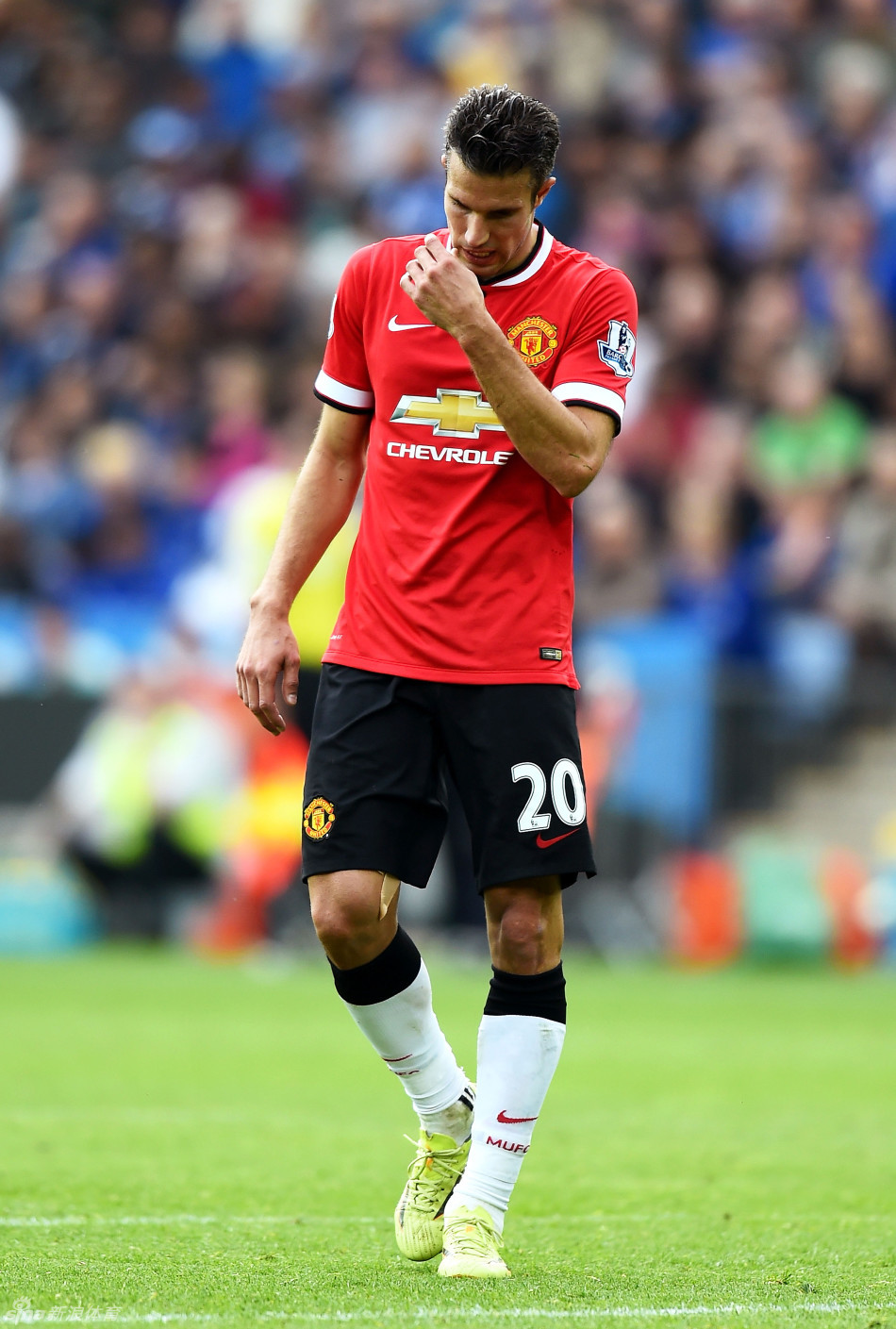 7战4胜2平1负，埃迪-豪上任后纽卡在联赛中只输给曼联1次（埃迪-豪上任后，纽卡联赛对曼联仅负一场：近7战4胜2平1负）